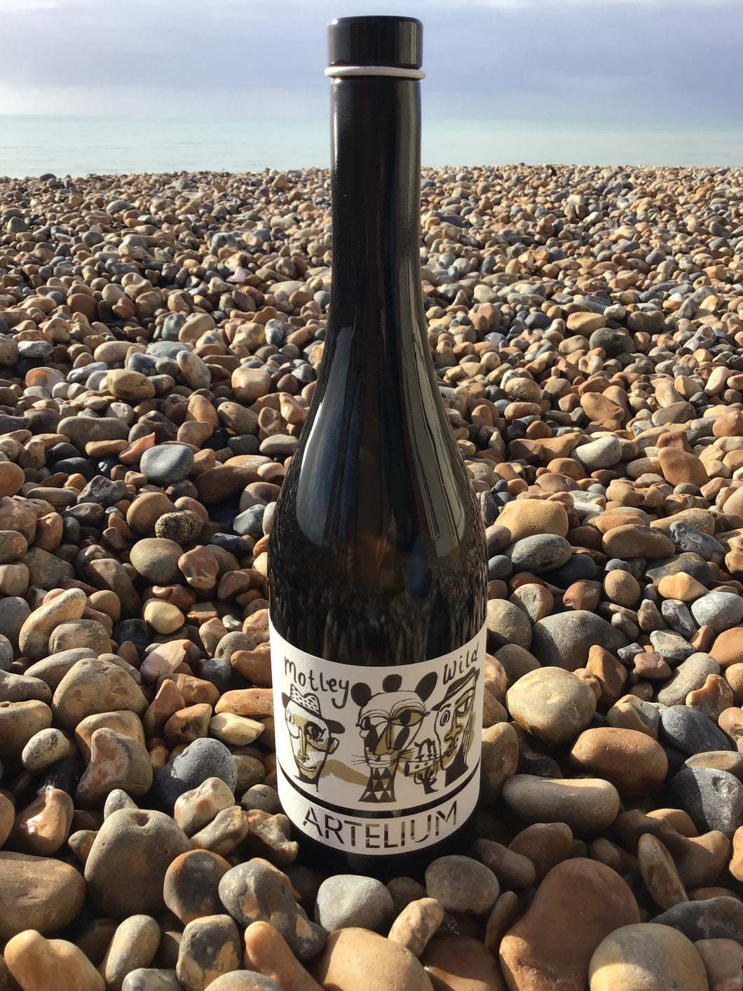 ARTELIUM MOTLEY WILD